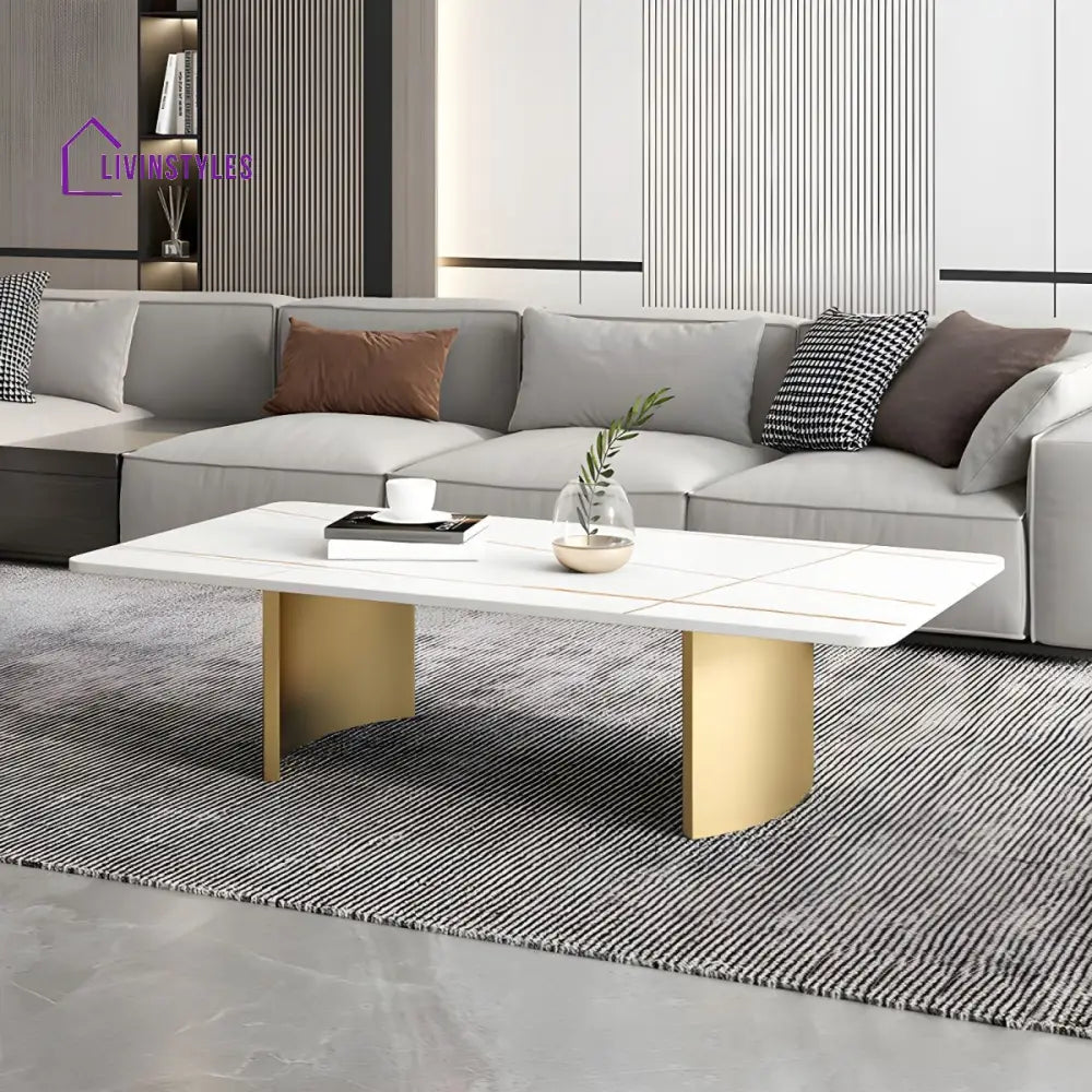 Aero Stainless Steel Coffee Table for Living Room | Rectangle Shape | Composite Ceramic Marble