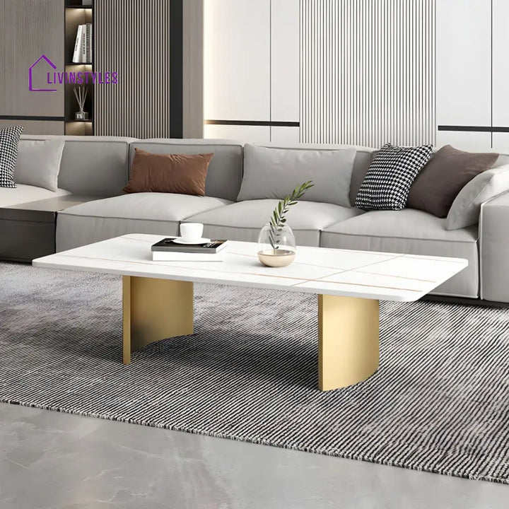 Aero Stainless Steel Coffee Table for Living Room | Rectangle Shape | Composite Ceramic Marble