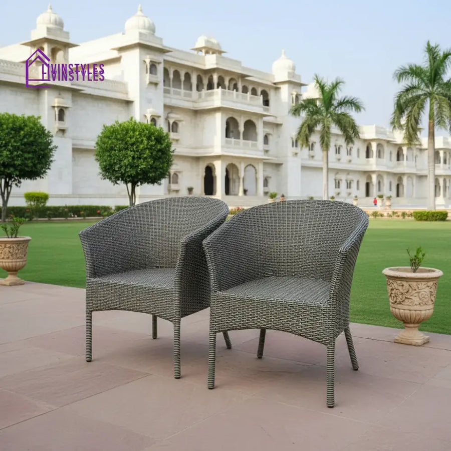 Allenna Wicker & Iron Outdoor Chair Set Of 2