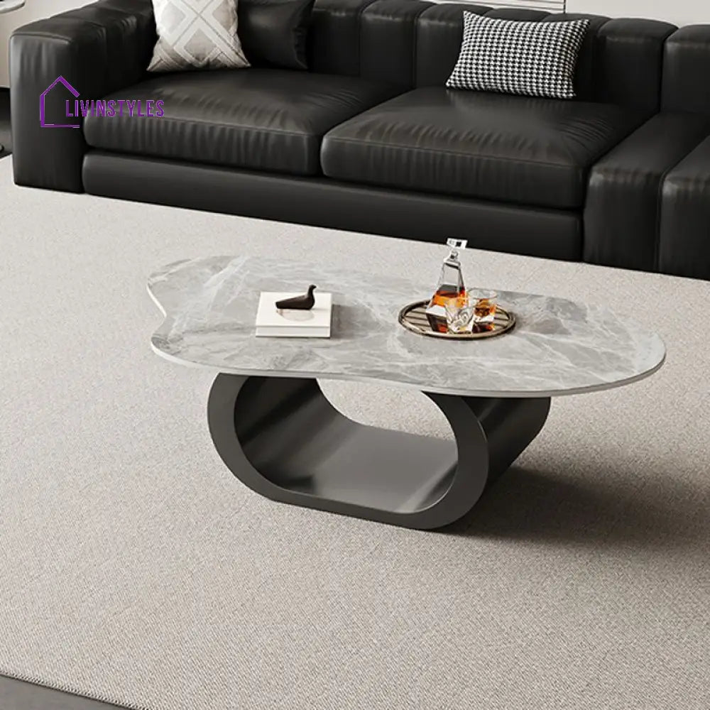 Alva Stainless Steel Coffee Table for Living Room