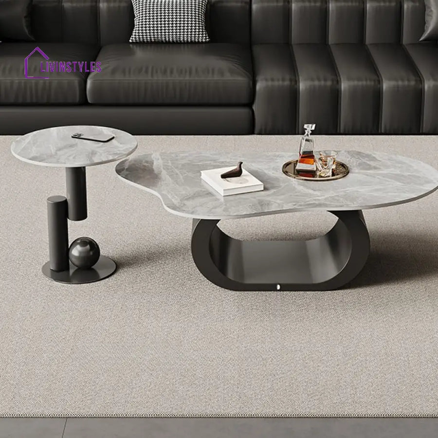 Alva Stainless Steel Coffee Table for Living Room