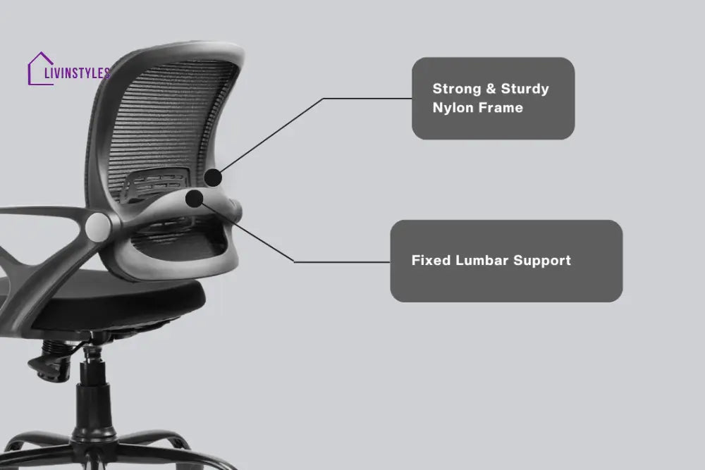 Amaya Pebble Basic Chair Basics