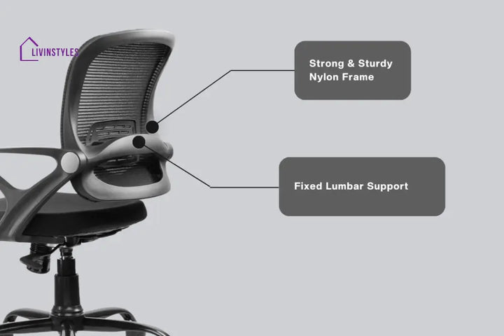 Amaya Pebble Basic Chair Basics