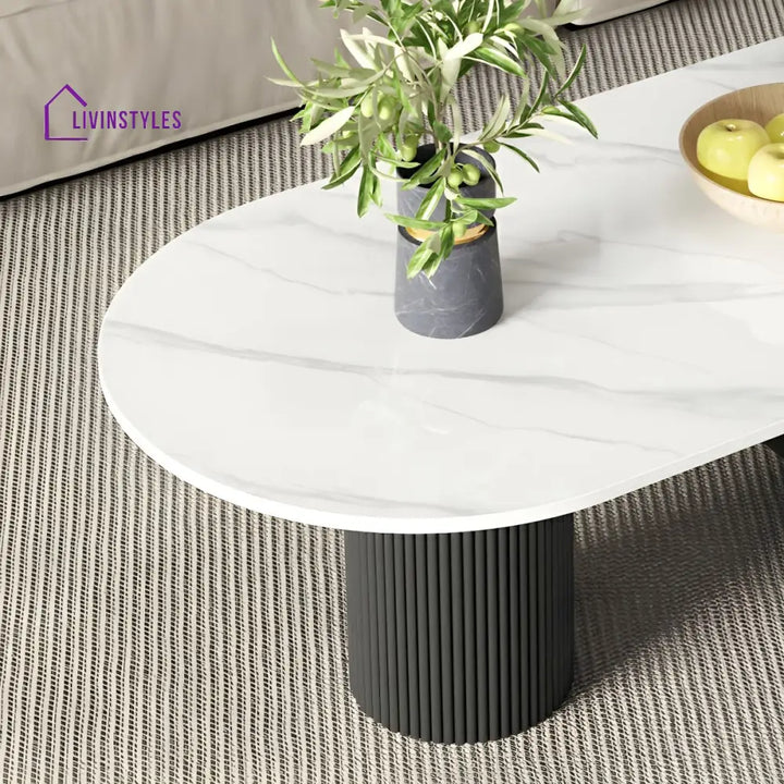 Amaya Stainless Steel Black Finish and Marble Top Coffee Table for Living Room
