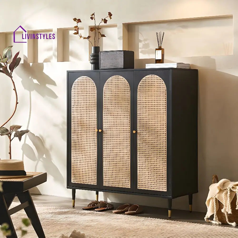 Aniket Solid Wood Shoe Rack for Living Room