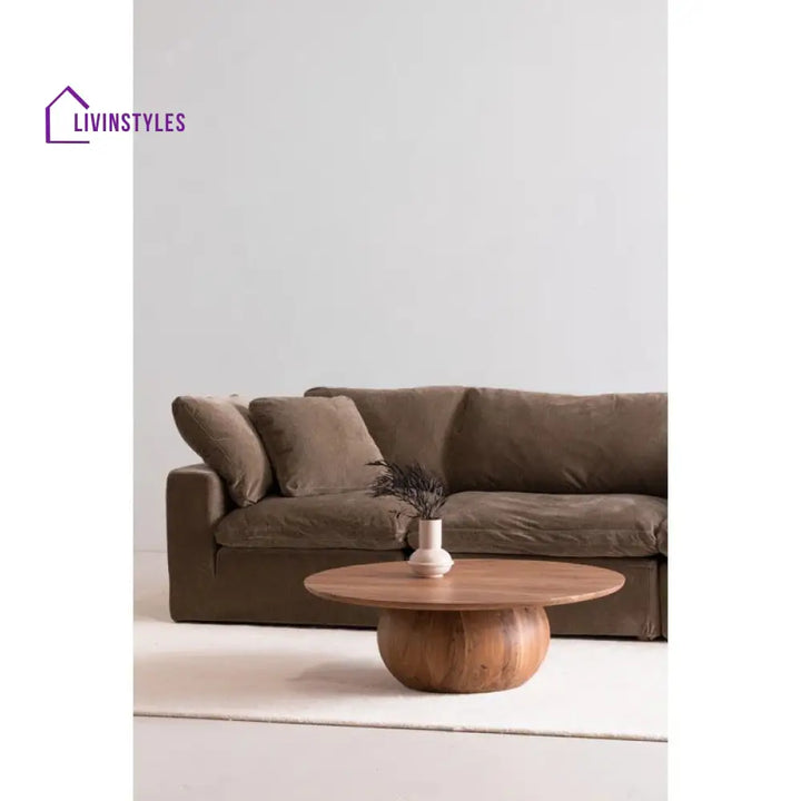 Anusha Solid Wood Coffee Table for Living Room