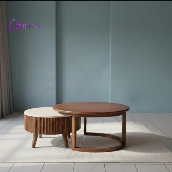 Apeksha Sheesham Wood Nesting Coffee Tables With Storage Set of 2