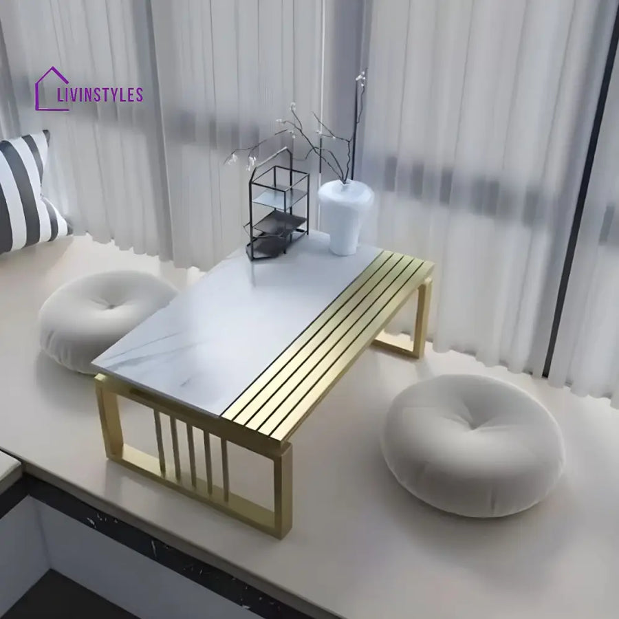 Arohi Stainless Steel Frame Coffee Table for Living Room