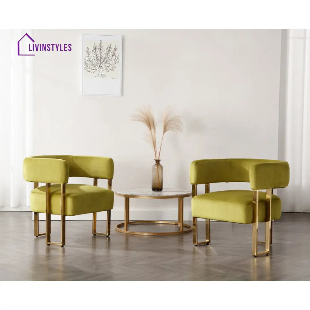 Aroosh Metal and Fabric Arm Chair | Living Room Chair | Lounge Chair