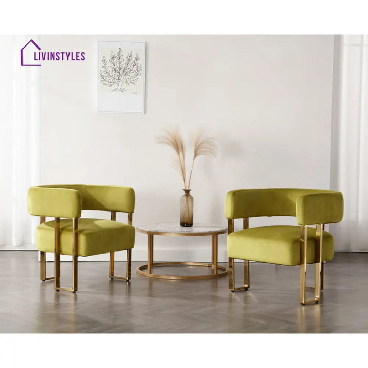 Aroosh Metal and Fabric Arm Chair | Living Room Chair | Lounge Chair