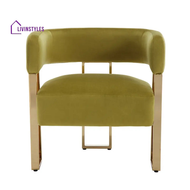 Aroosh Metal and Fabric Arm Chair | Living Room Chair | Lounge Chair