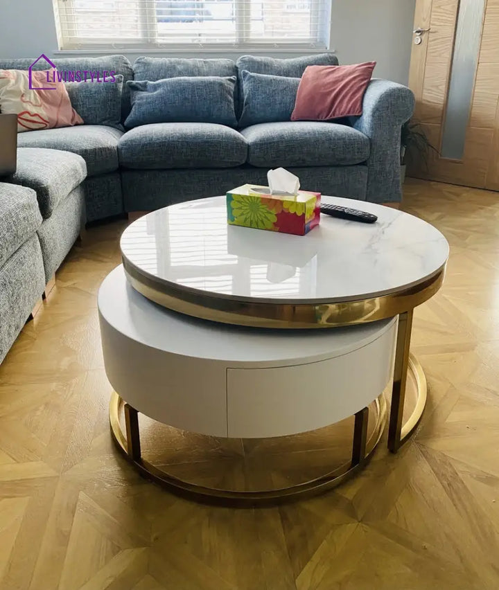 Artus Marble And Wooden Nesting Tables With Storage Coffee Tables