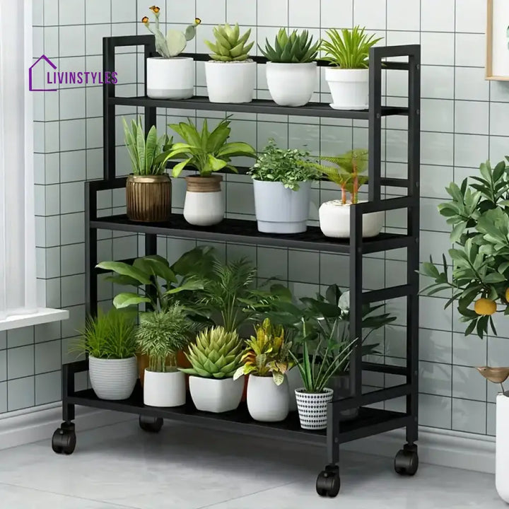 Atul Metal Plant Stand With Four Wheels For Balcony