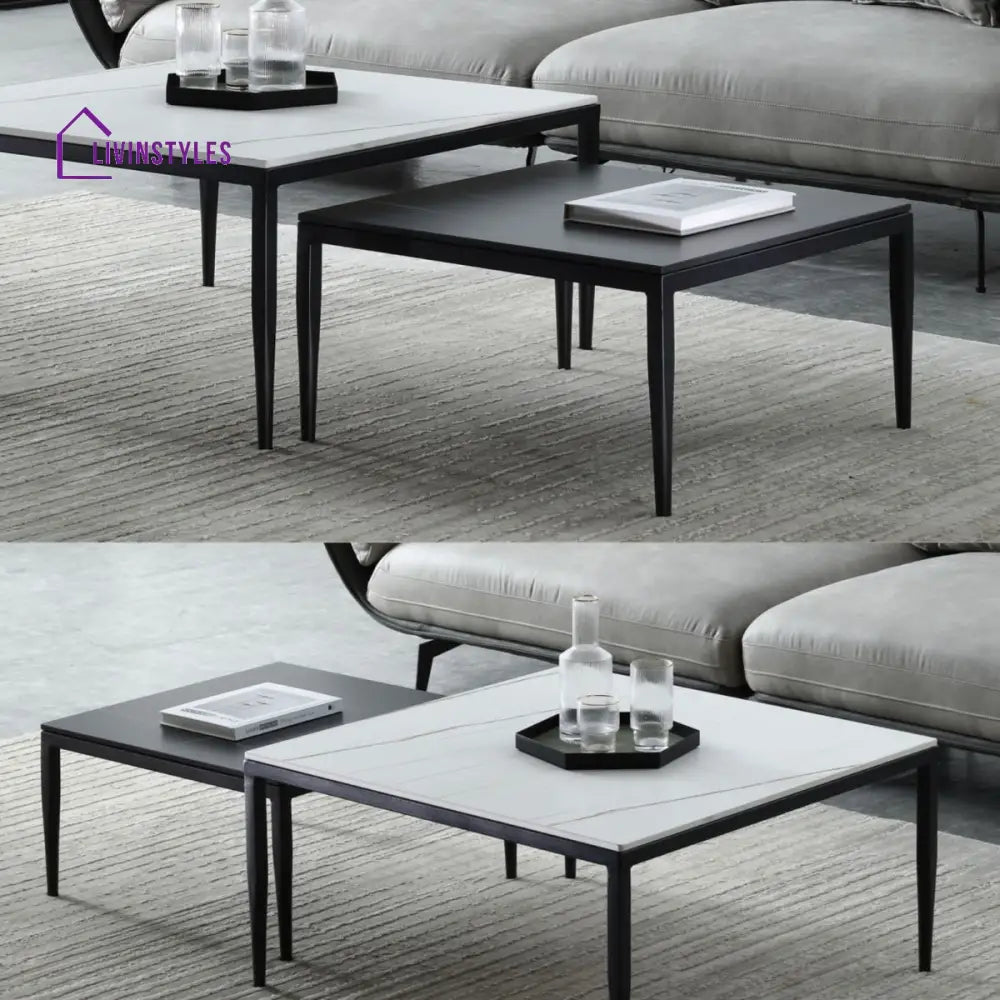 Benika Stainless Steel Frame Coffee Table for Living Room