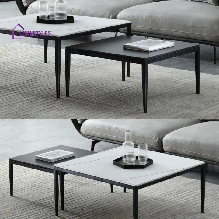 Benika Stainless Steel Frame Coffee Table for Living Room