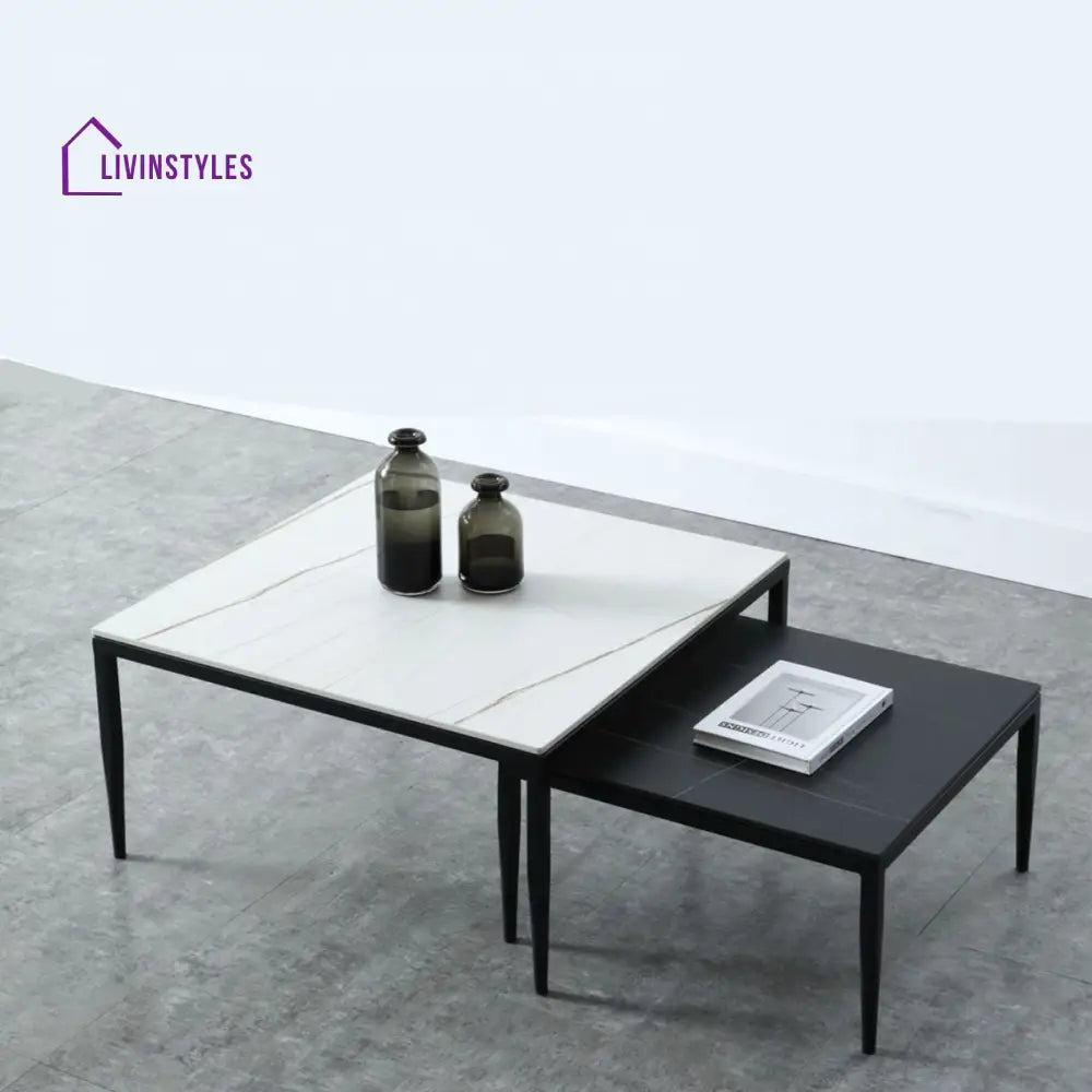 Benika Stainless Steel Frame Coffee Table for Living Room