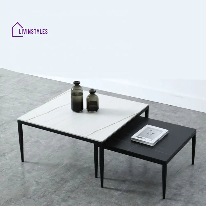 Benika Stainless Steel Frame Coffee Table for Living Room