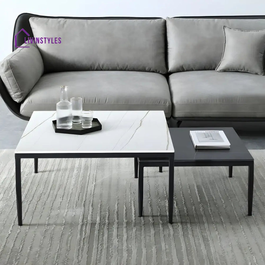 Benika Stainless Steel Frame Coffee Table for Living Room