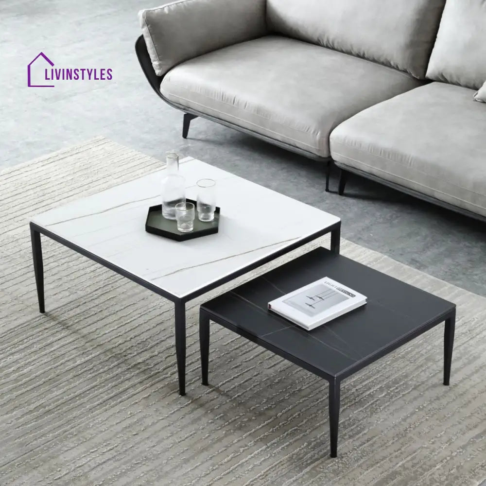 Benika Stainless Steel Frame Coffee Table for Living Room