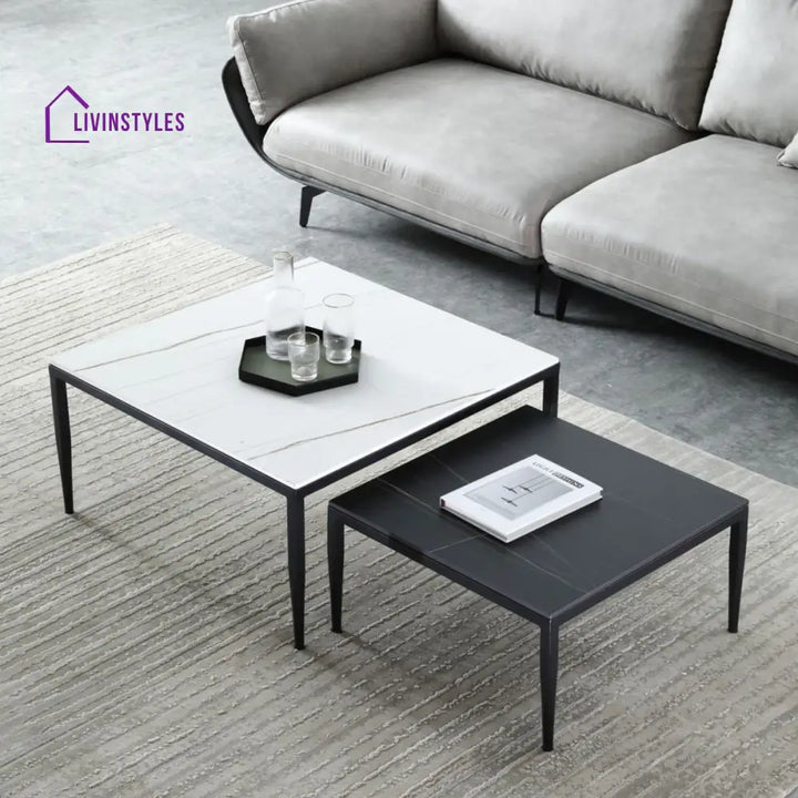 Benika Stainless Steel Frame Coffee Table for Living Room