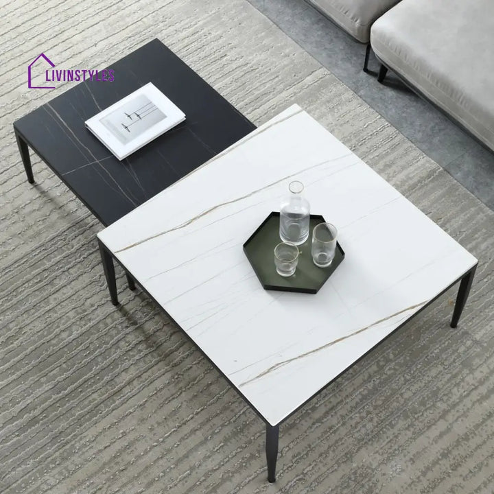 Benika Stainless Steel Frame Coffee Table for Living Room