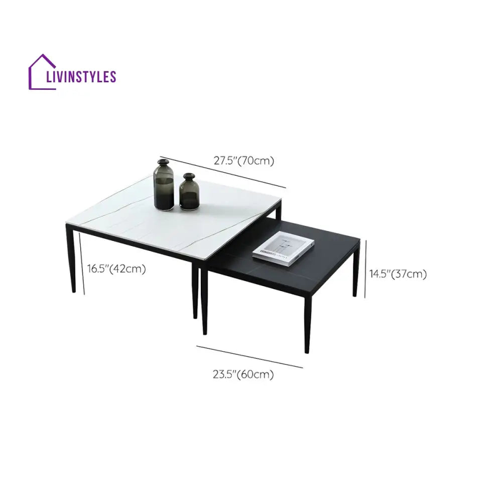 Benika Stainless Steel Frame Coffee Table for Living Room