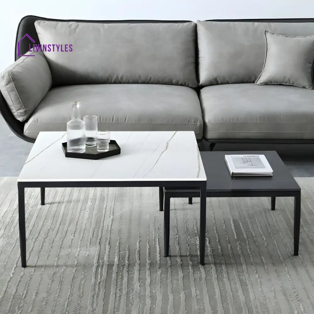 Benika Stainless Steel Frame Coffee Table for Living Room
