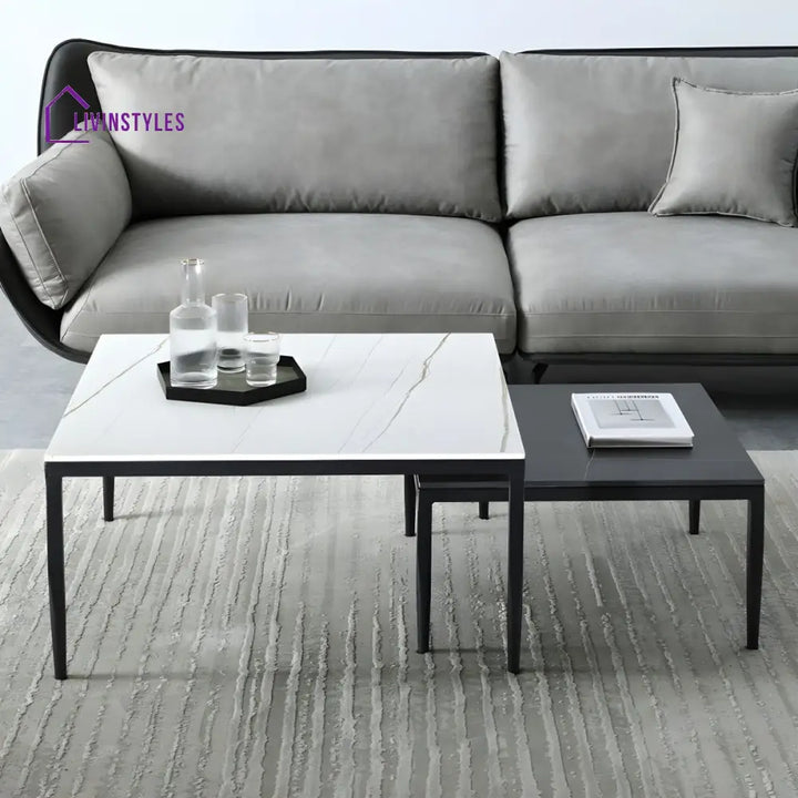 Benika Stainless Steel Frame Coffee Table for Living Room