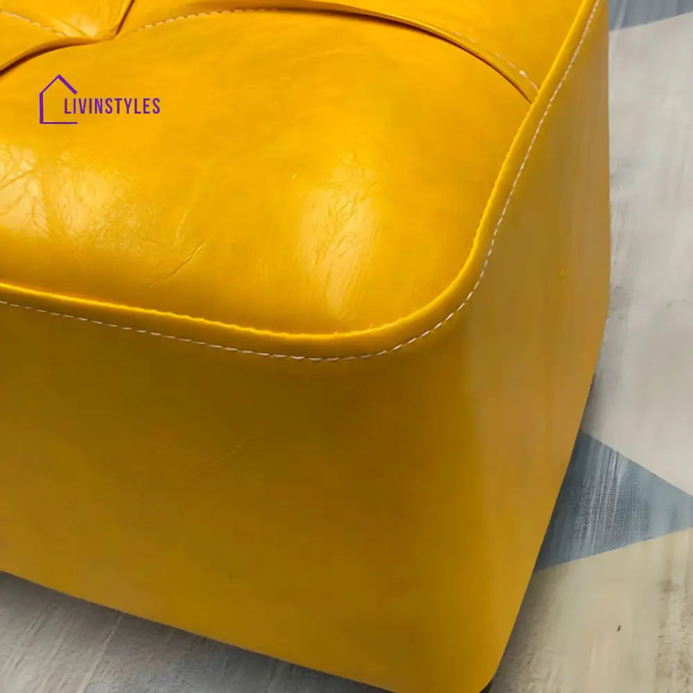 Benisha Living Room Ottoman | Faux Leather Fabric