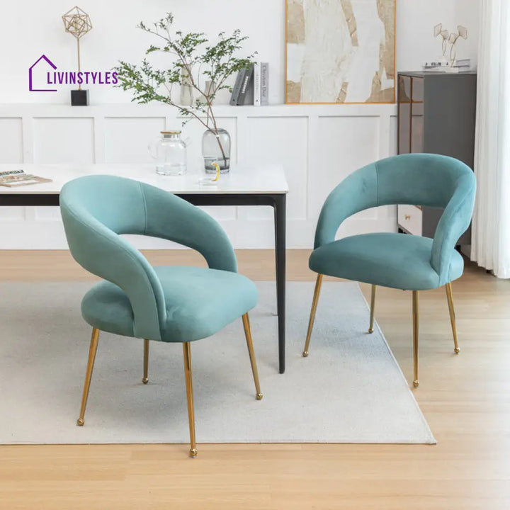 Bhavna Metal and Fabric Arm Chair | Living Room Chair | Lounge Chair