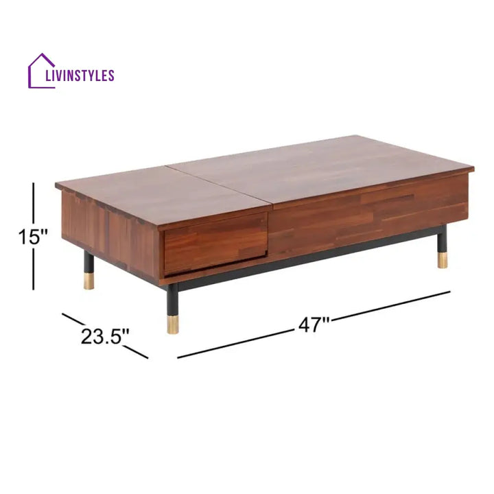 Bhavna Solid Wood Lift Top Coffee Table for Living Room