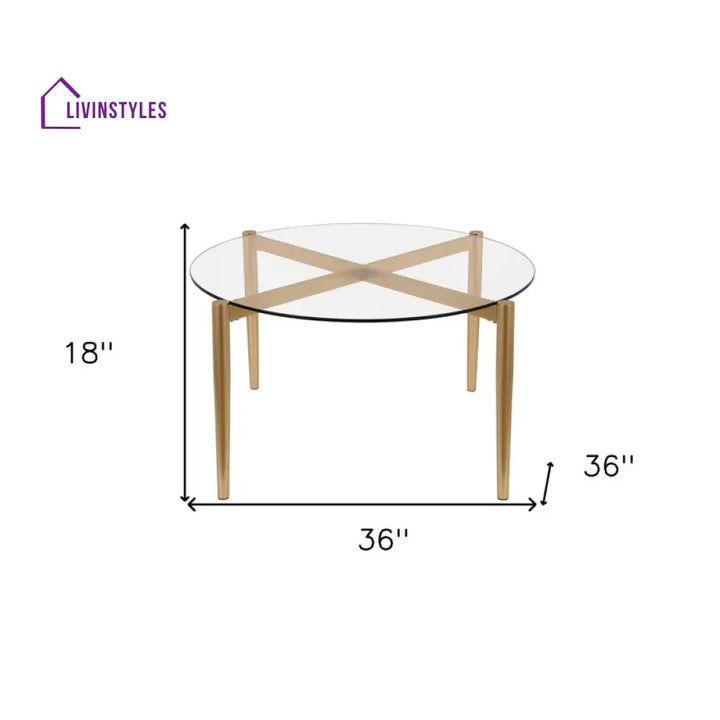 Bhavya Metal Coffee Table For Living Room