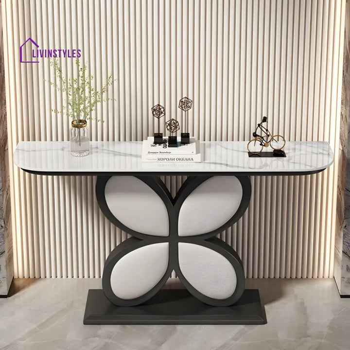 Biran Stainless Steel Living Room Console Table