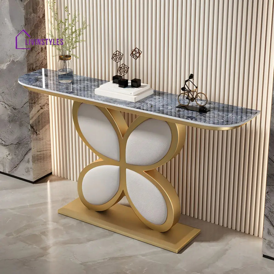 Biran Stainless Steel Living Room Console Table