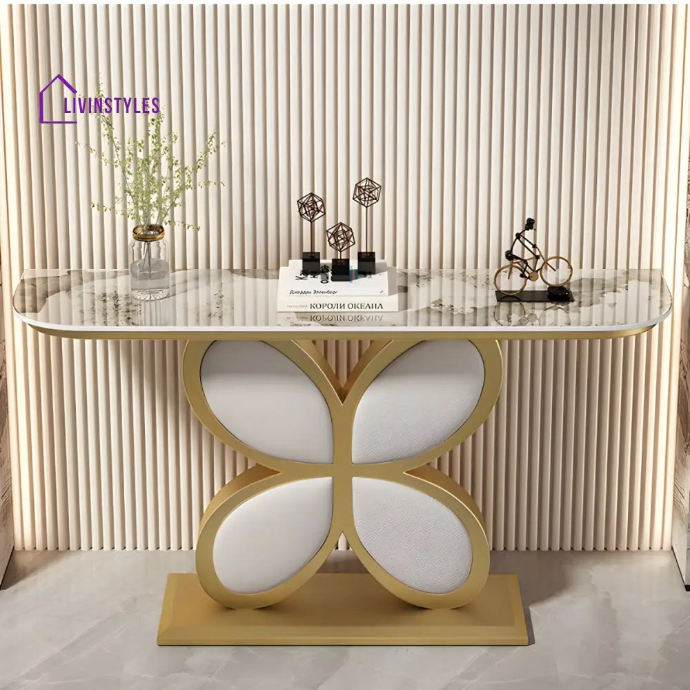 Biran Stainless Steel Living Room Console Table