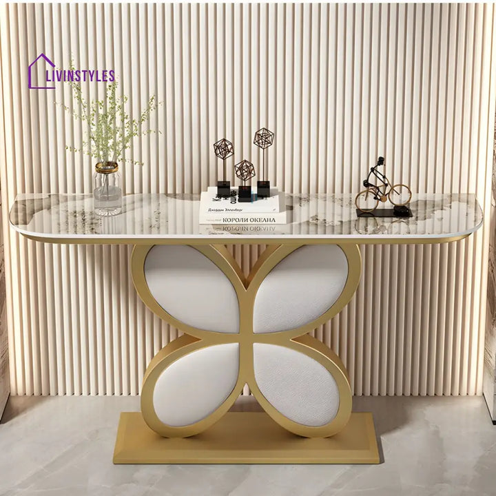 Biran Stainless Steel Living Room Console Table