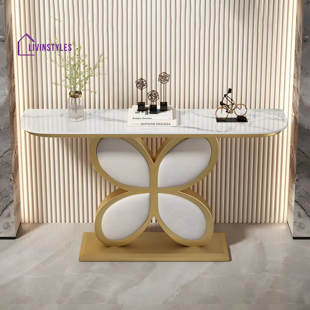 Biran Stainless Steel Living Room Console Table
