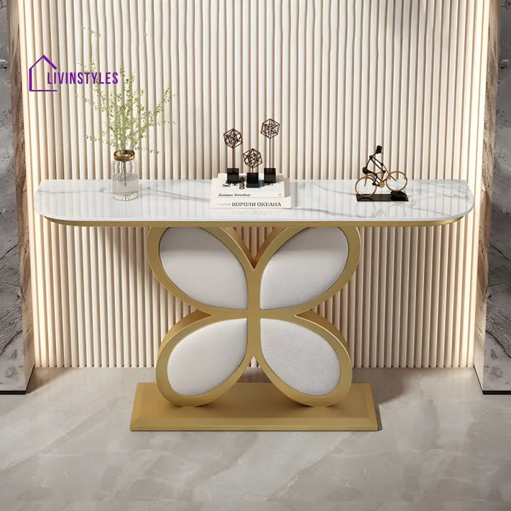 Biran Stainless Steel Living Room Console Table