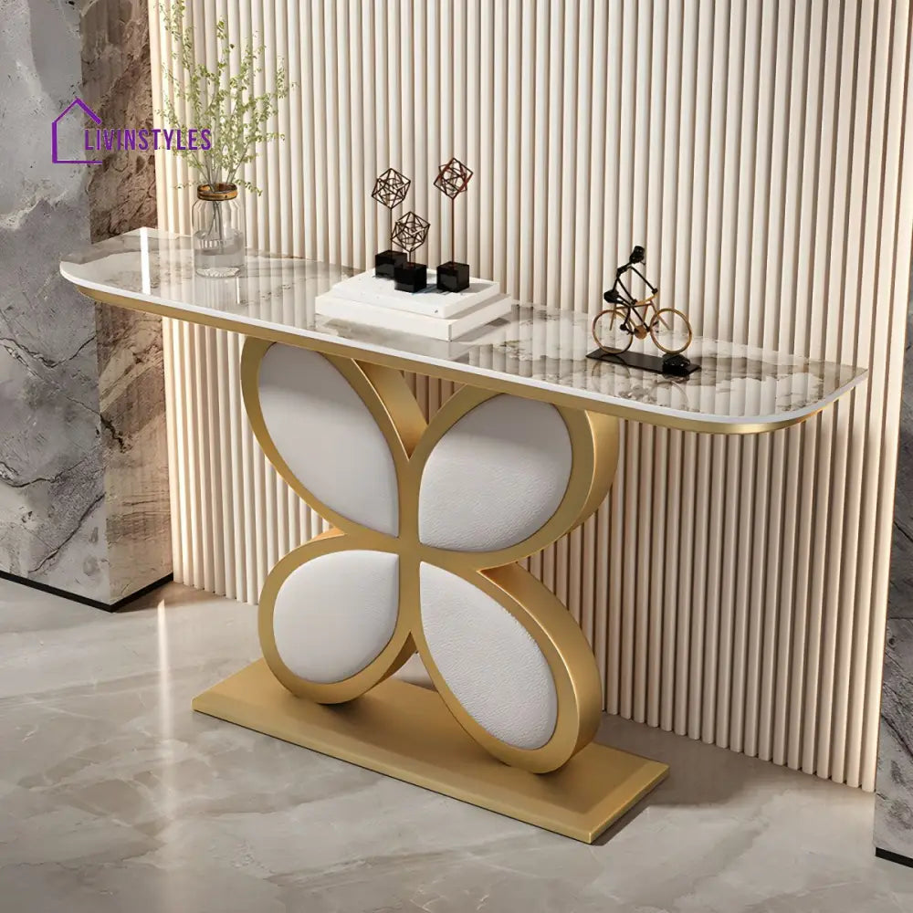 Biran Stainless Steel Living Room Console Table