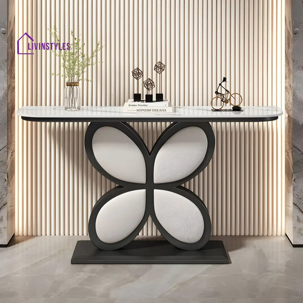 Biran Stainless Steel Living Room Console Table