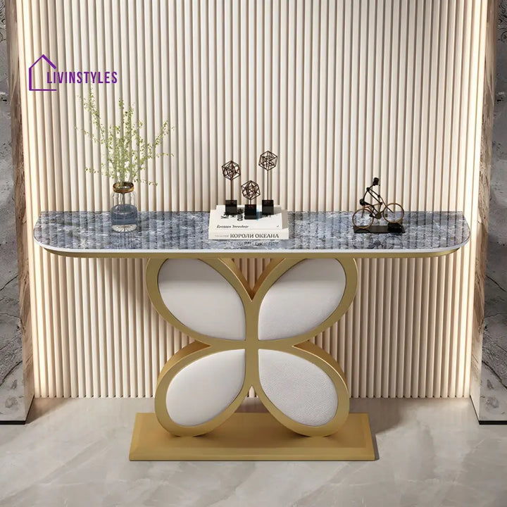 Biran Stainless Steel Living Room Console Table