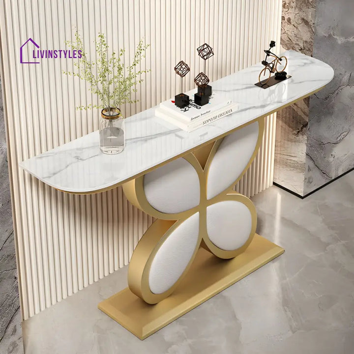 Biran Stainless Steel Living Room Console Table