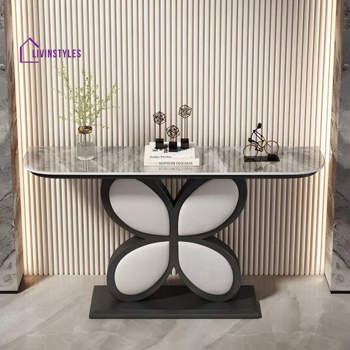 Biran Stainless Steel Living Room Console Table