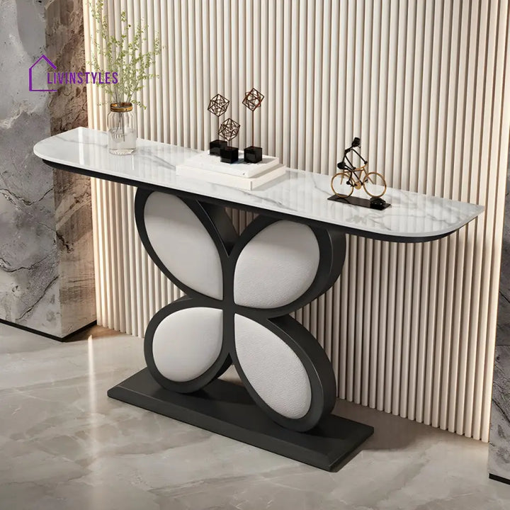 Biran Stainless Steel Living Room Console Table