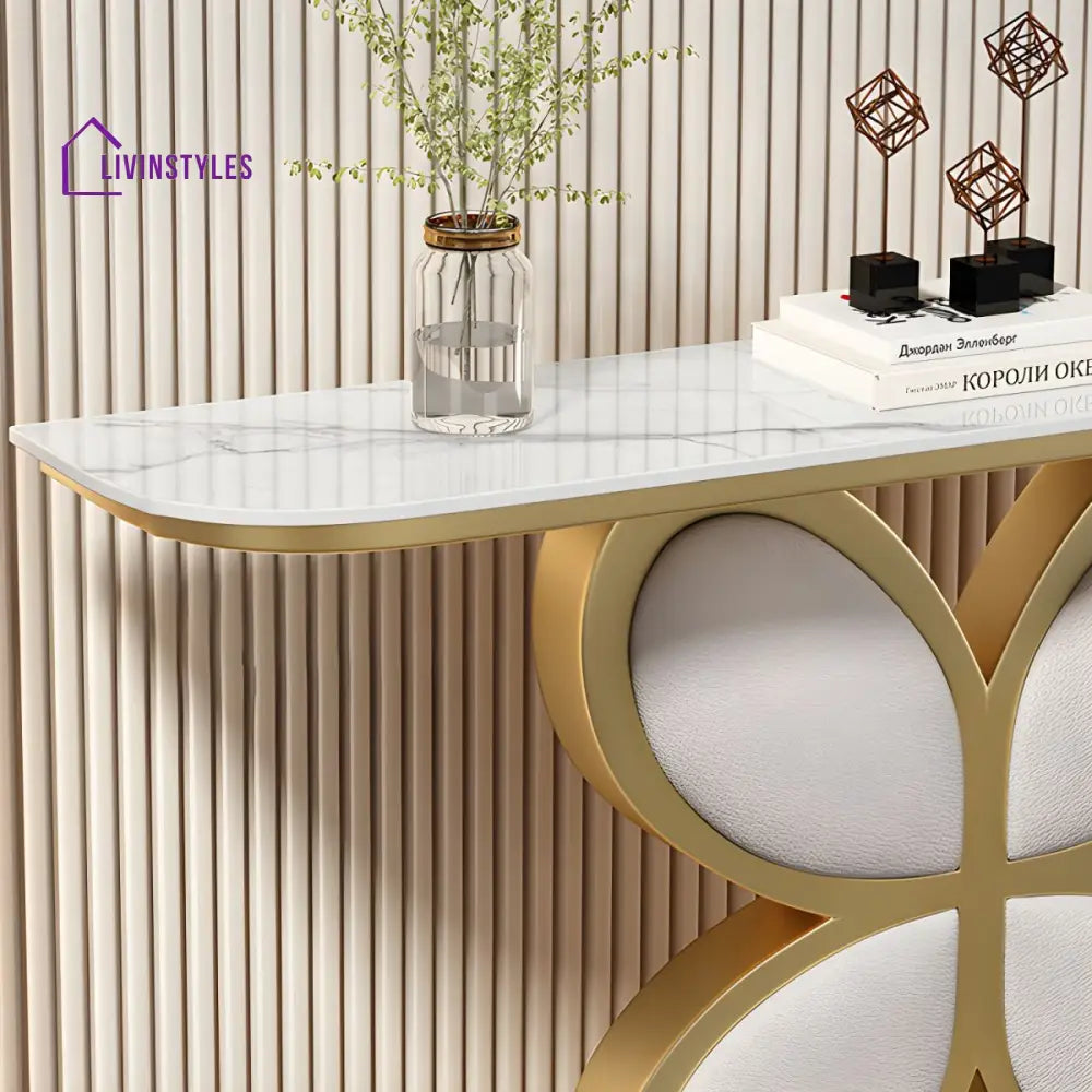 Biran Stainless Steel Living Room Console Table
