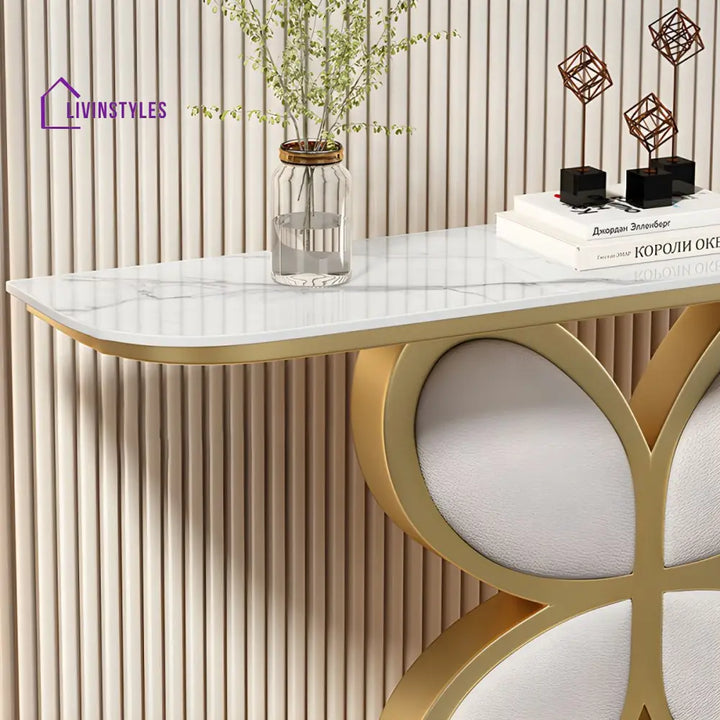 Biran Stainless Steel Living Room Console Table