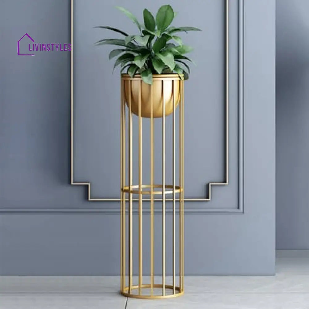 Boston Plant Stand For Indoor In Gold Color Stands