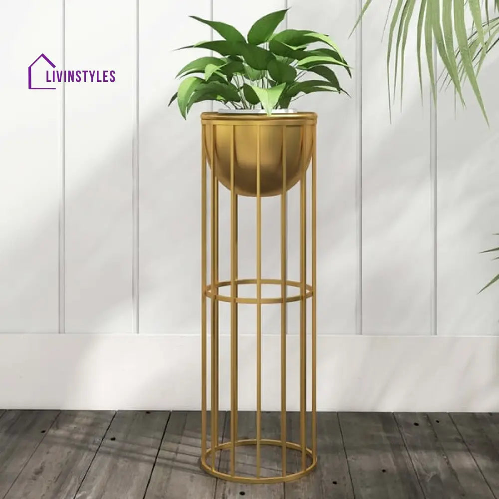 Boston Plant Stand For Indoor In Gold Color Stands