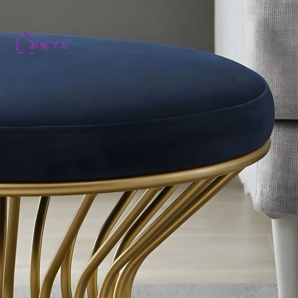 Brinda Living Room Ottoman | Velvet Fabric