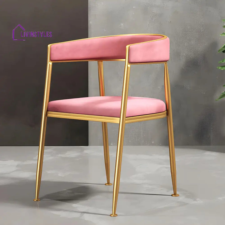 Brinda Metal Dining Chair | Stainless Steel